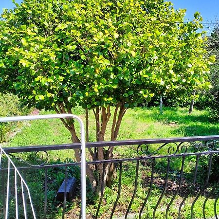 Maison Individuelle Padulella Sisco Exterior foto