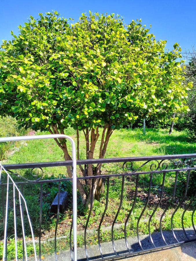 Maison Individuelle Padulella Sisco Exterior foto